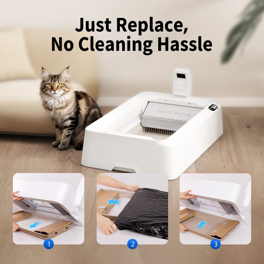 Crystal Litter Set - 4 Pack