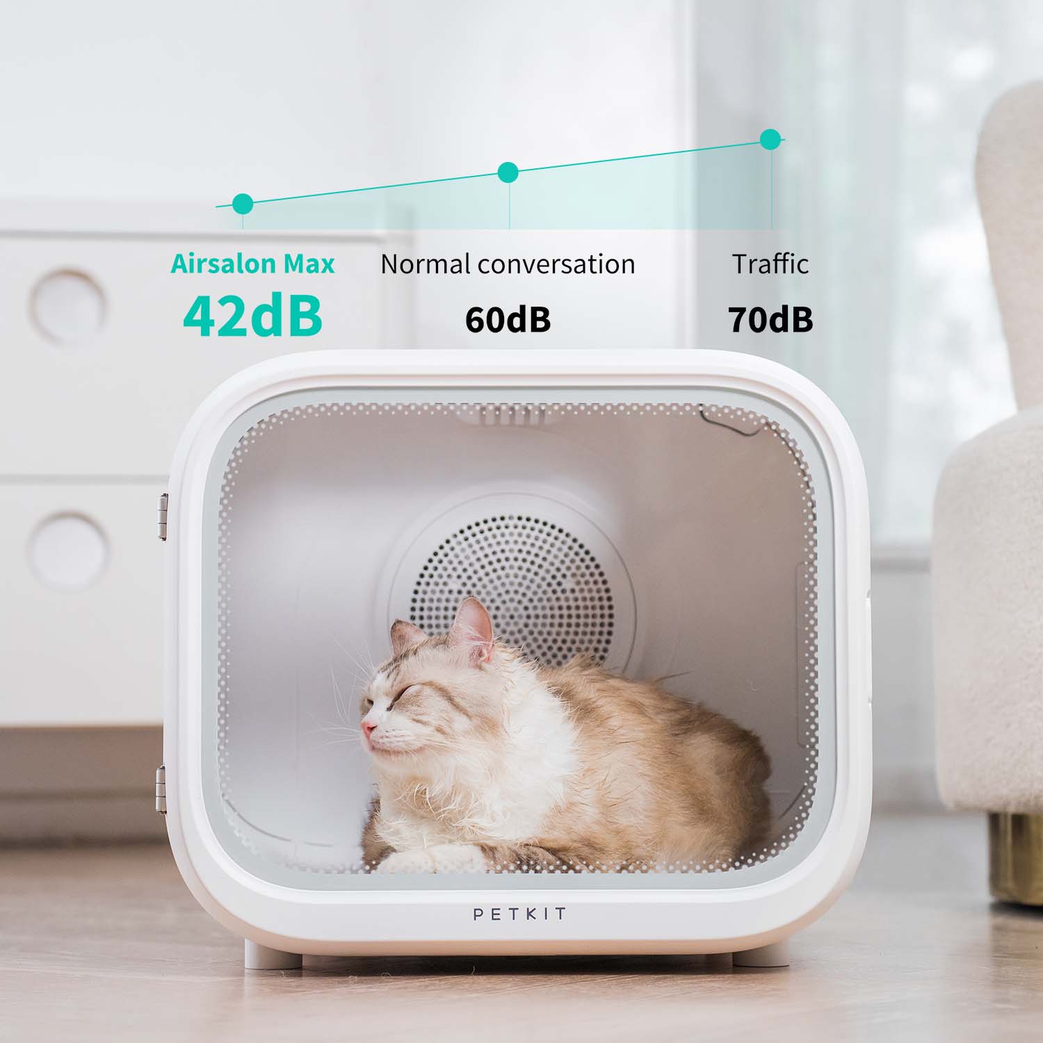 AirSalon Max Pet Dryer Box operating at an ultra-quiet 42dB, significantly quieter than normal conversation and traffic noise for a calm pet experience