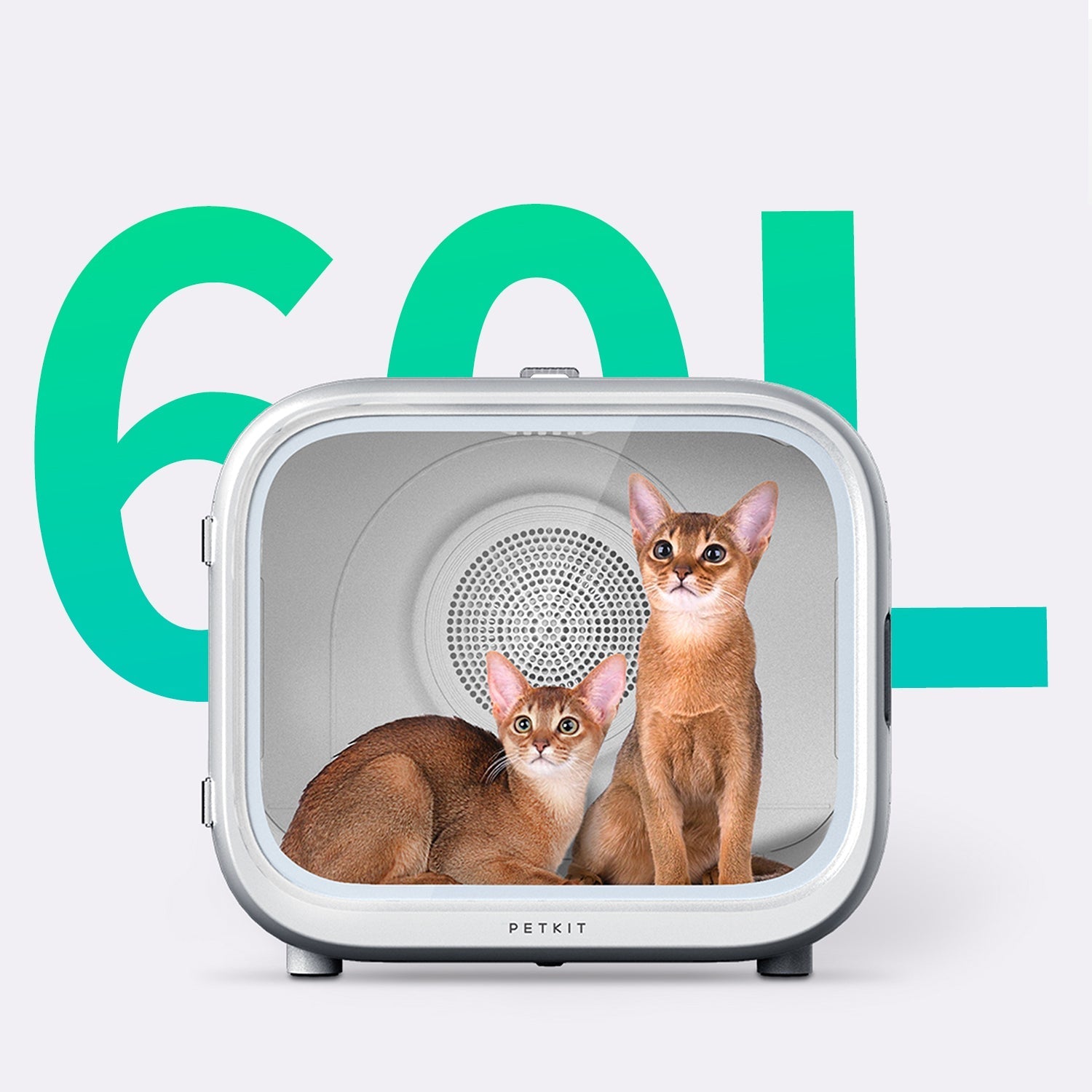 AirSalon Max Pet Dryer Box featuring a spacious 60L interior that comfortably accommodates two cats with ample room for movement and airflow