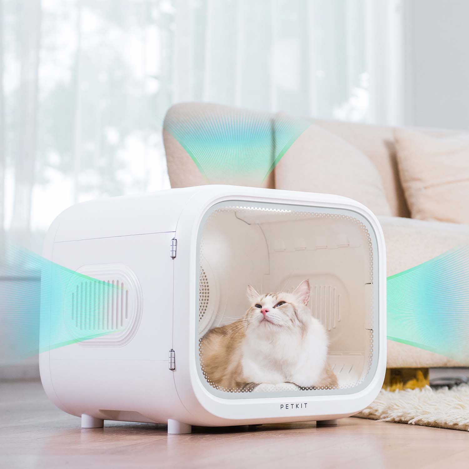AirSalon Max Pet Dryer Box in a modern home setting, providing gentle and stress-free drying for cats after bathing