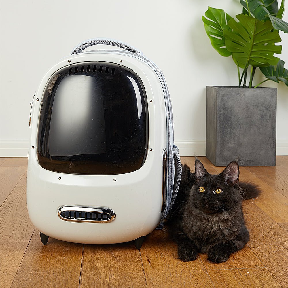 Breezy 2 Cat Carrier in cream white placed in a home setting, showcasing a comfortable and stylish pet backpack suitable for everyday use