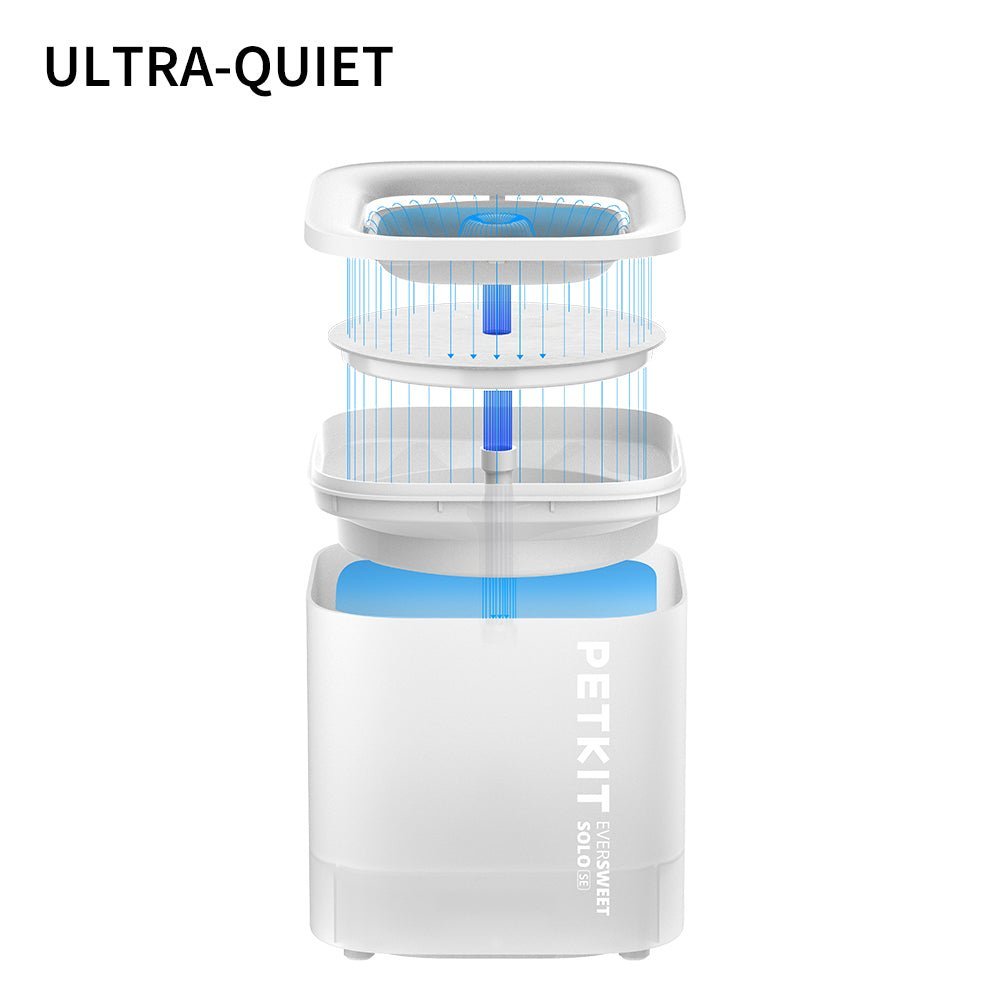EverSweet Solo SE Pet Water Fountain featuring a structural design that supports smooth water flow and quiet operation