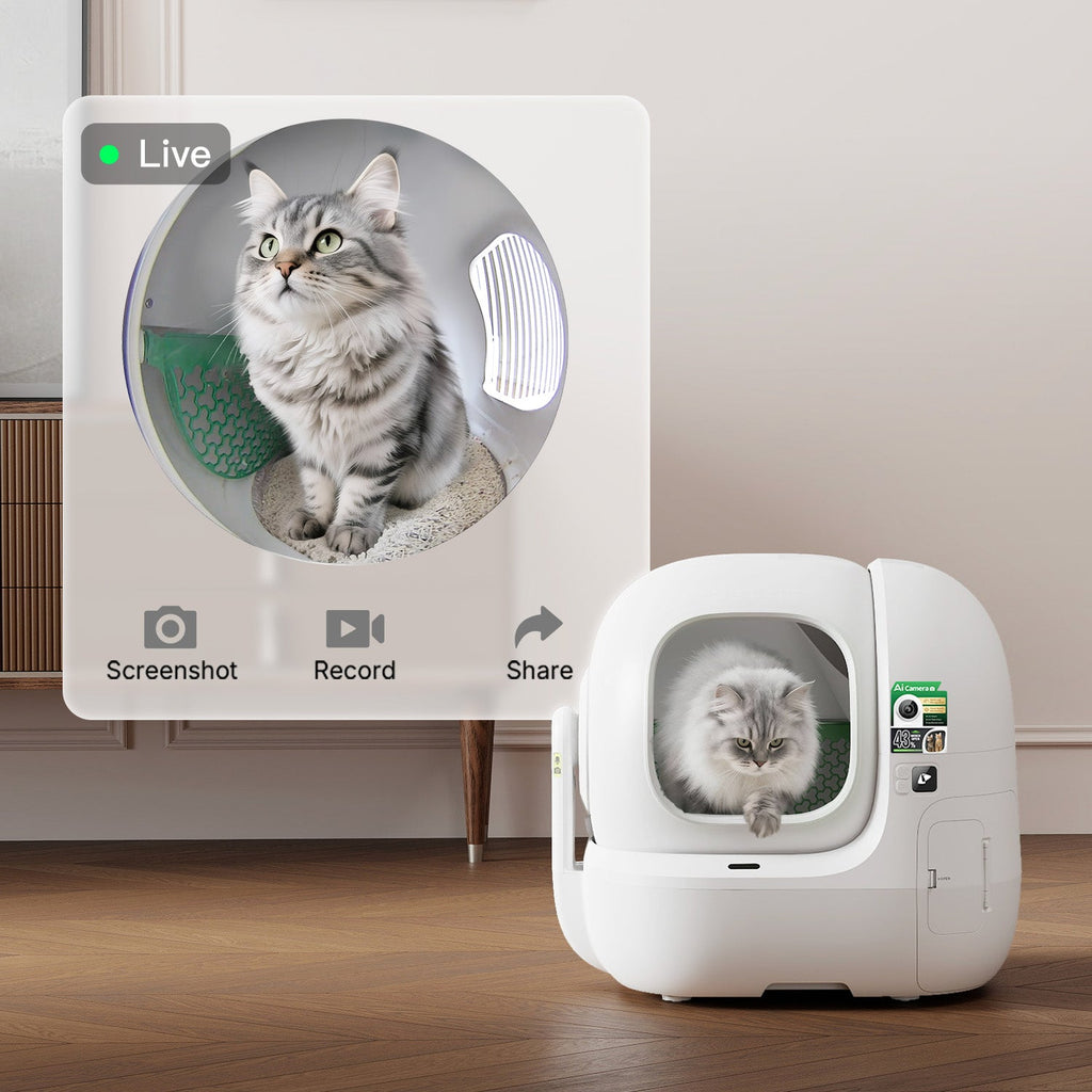 PETKIT Smart Advanced Bundle