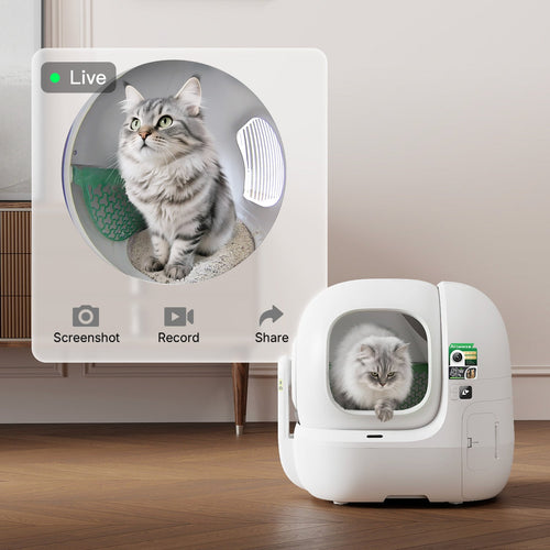 PETKIT Smart Advanced Bundle