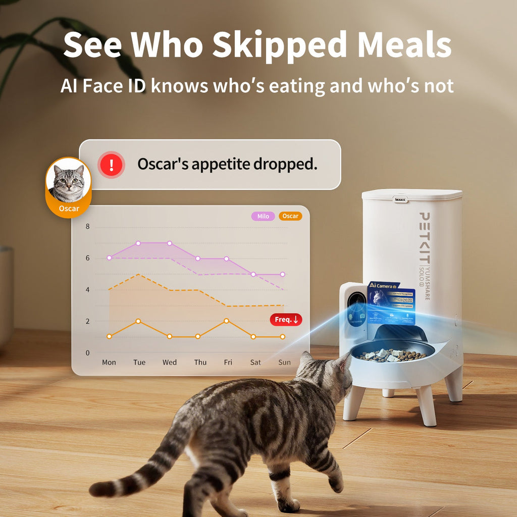 YumShare Solo 2 Ultimate Bundle