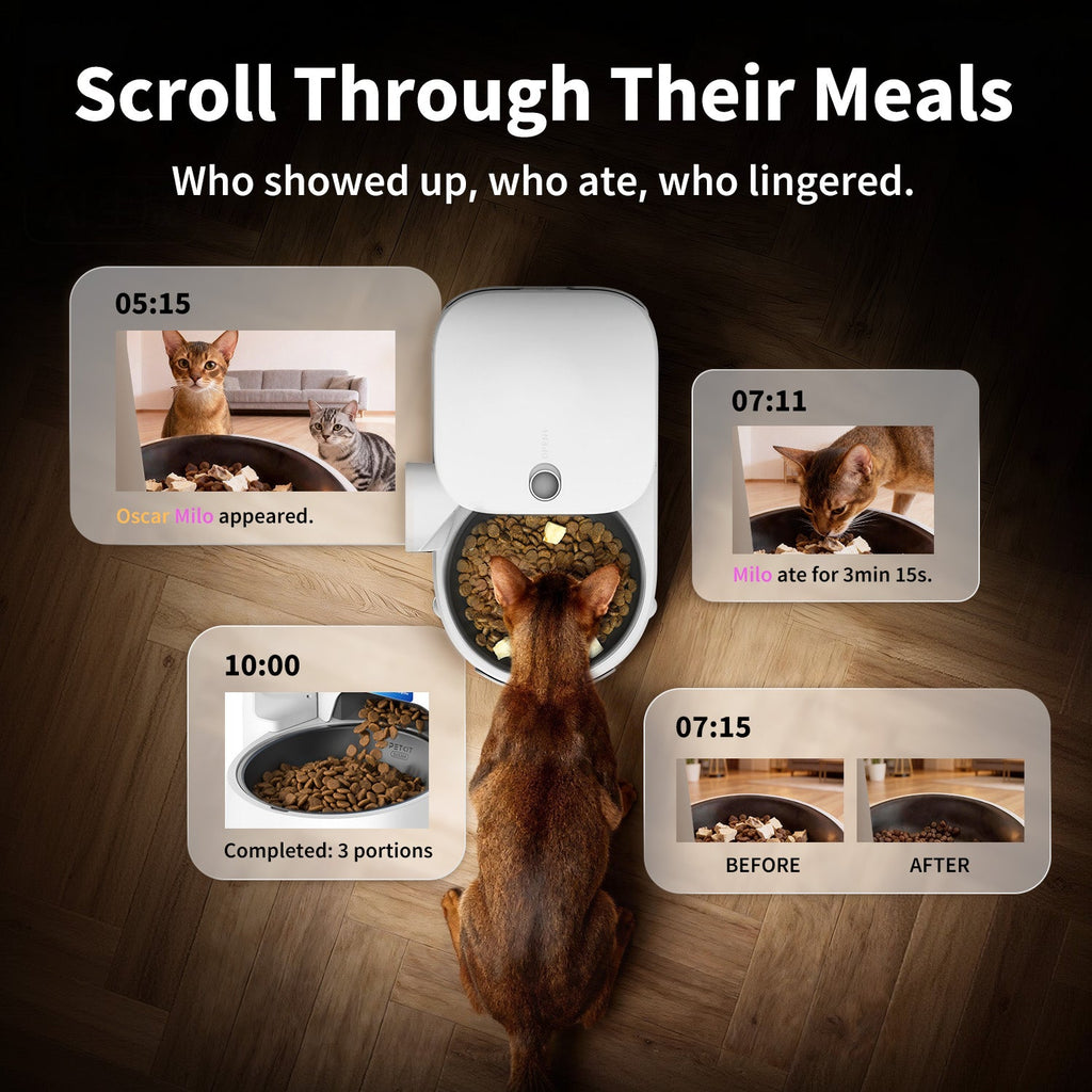 YumShare Solo 2 Ultimate Bundle
